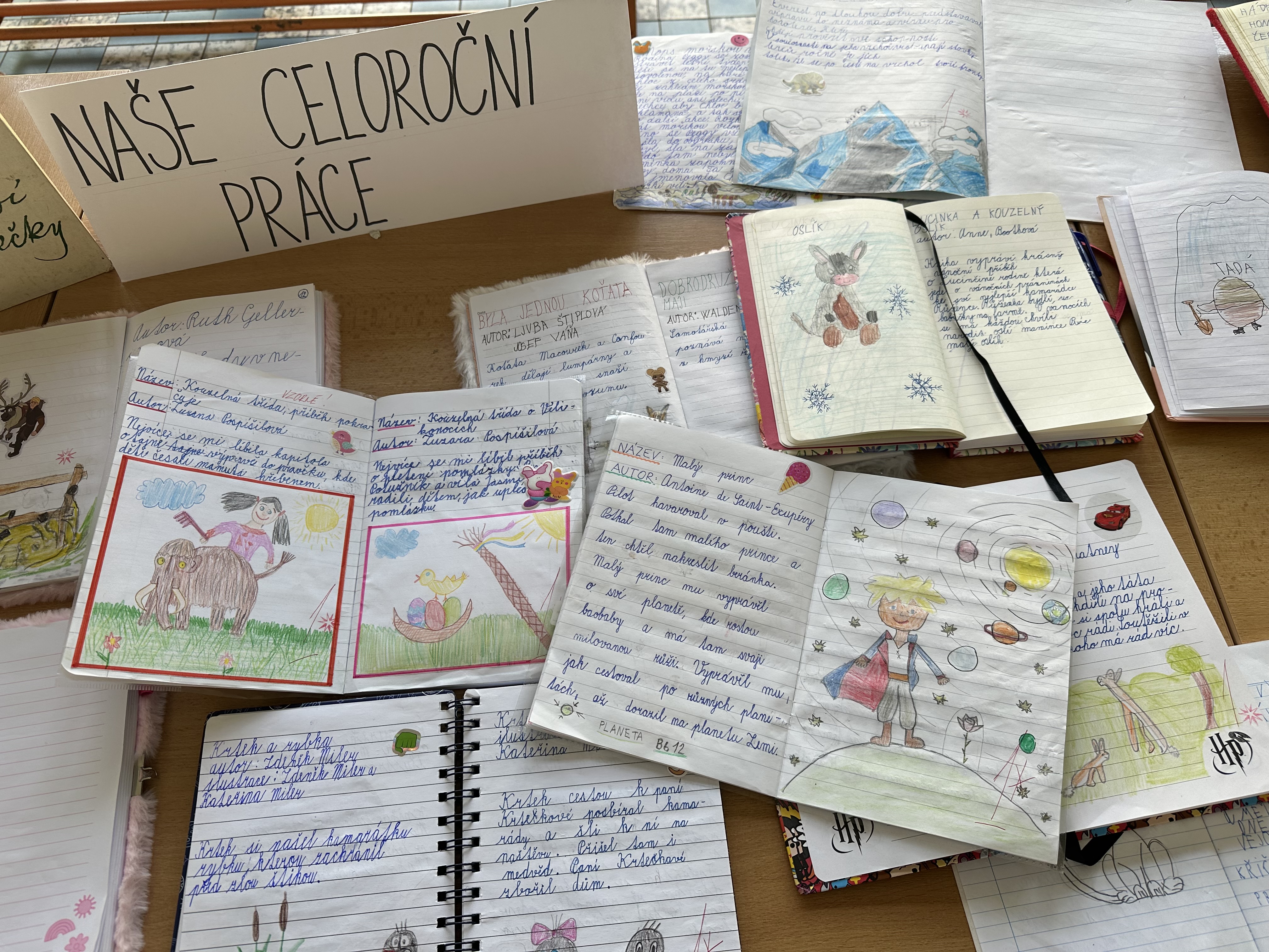 IMG_8854.jpg (3.41 MB)