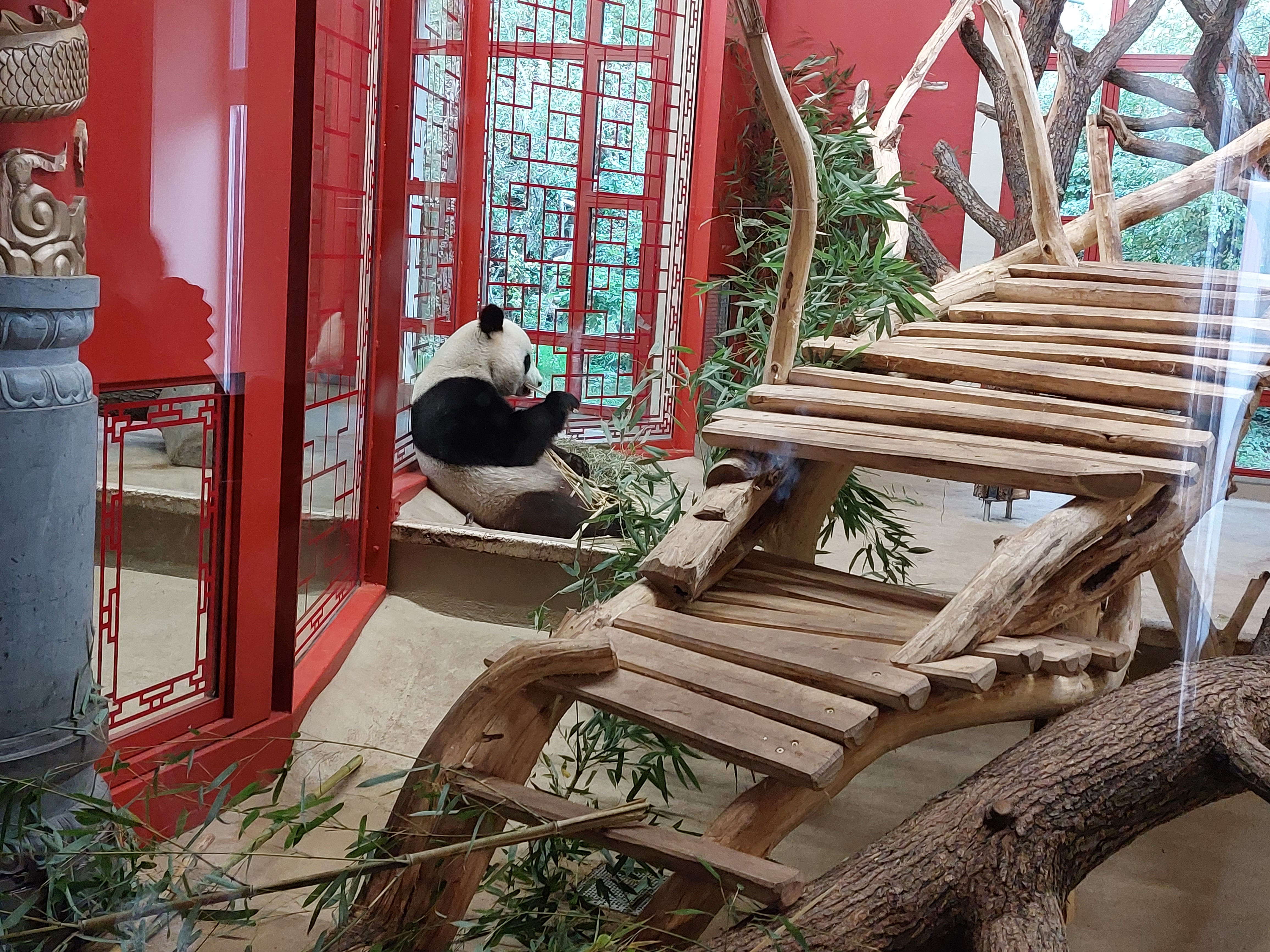 20251010_130701.jpg (4.11 MB)