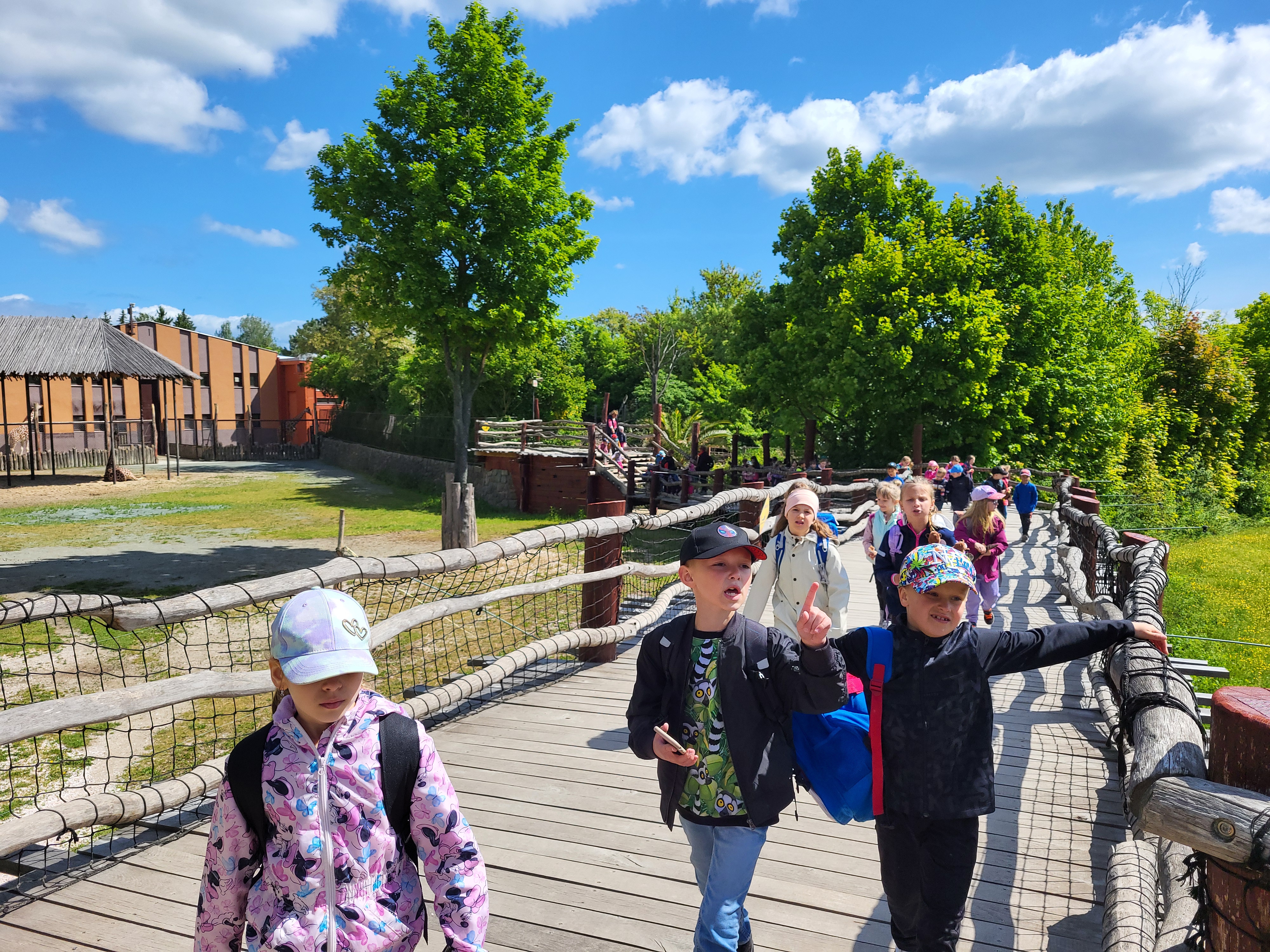 1000015830.jpg (4.80 MB)