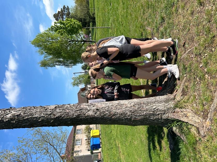 IMG_9711.jpg (252 KB)