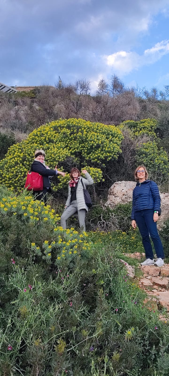 WhatsApp Image 2025-03-17 at 17.12.51.jpeg (283 KB)