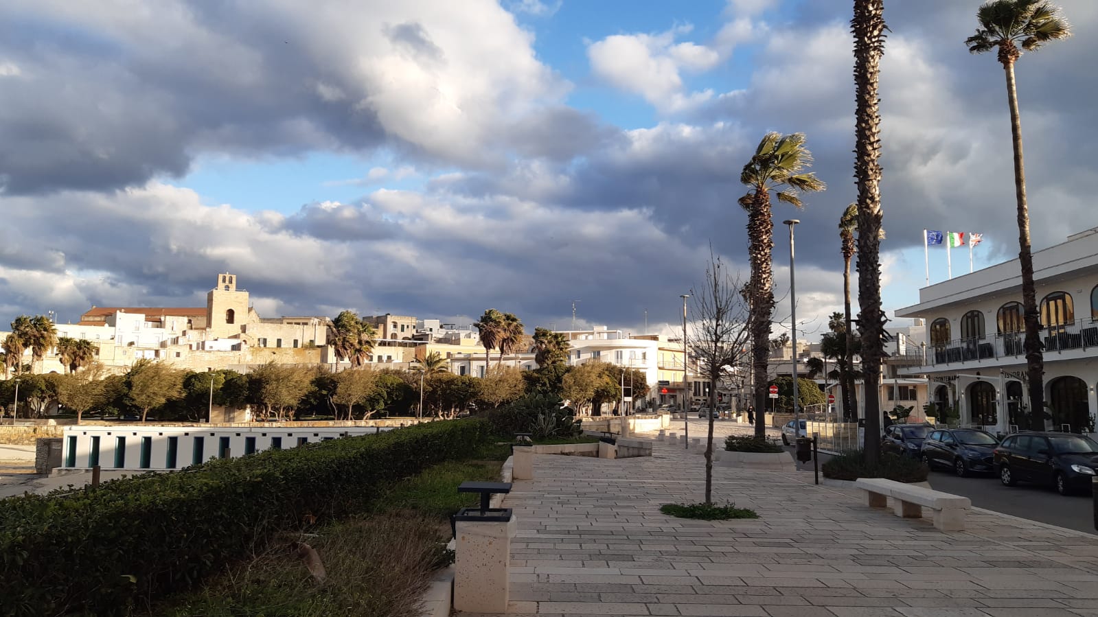 WhatsApp Image 2025-03-18 at 21.46.55.jpeg (196 KB)