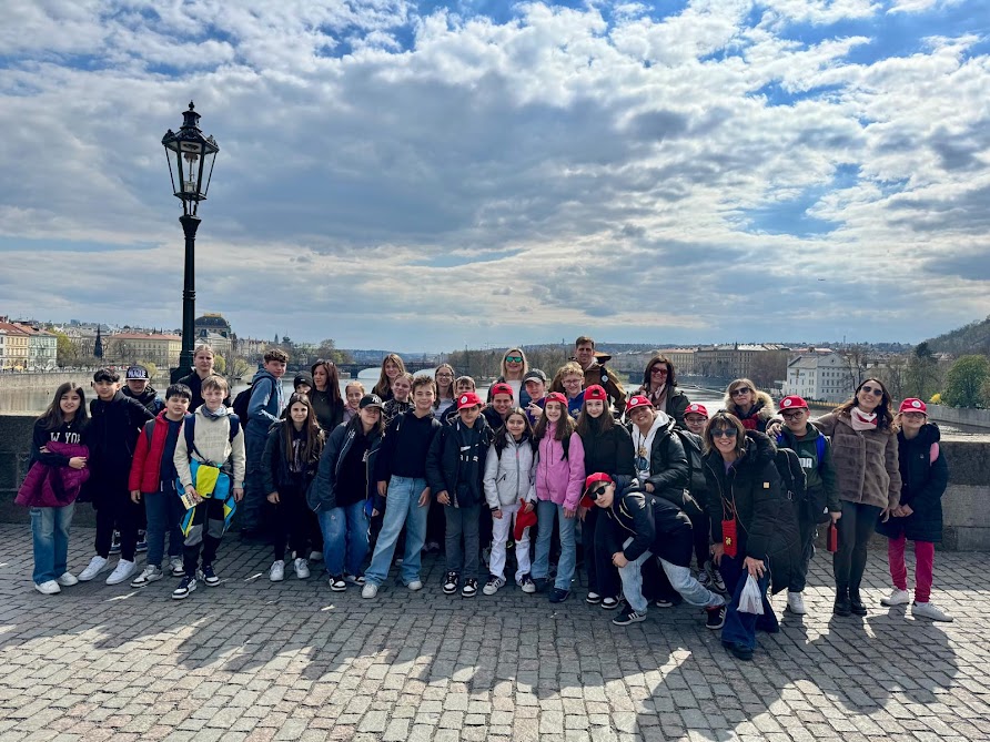 4566b193-afef-485d-92da-5e0e5892d8cd.jpg (186 KB)