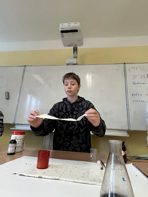 IMG_8800.jpg (73 KB)