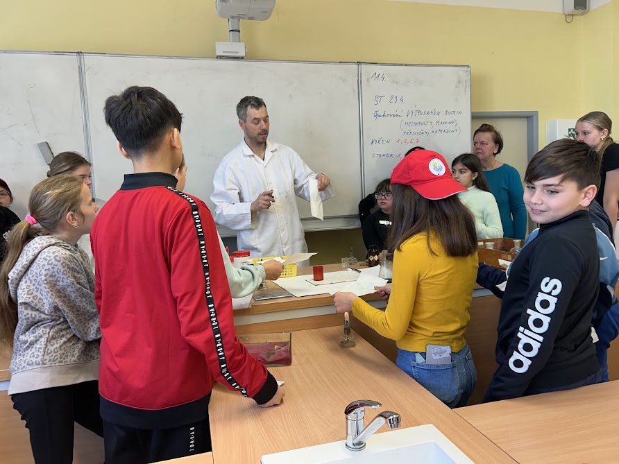 IMG_8809.jpg (130 KB)