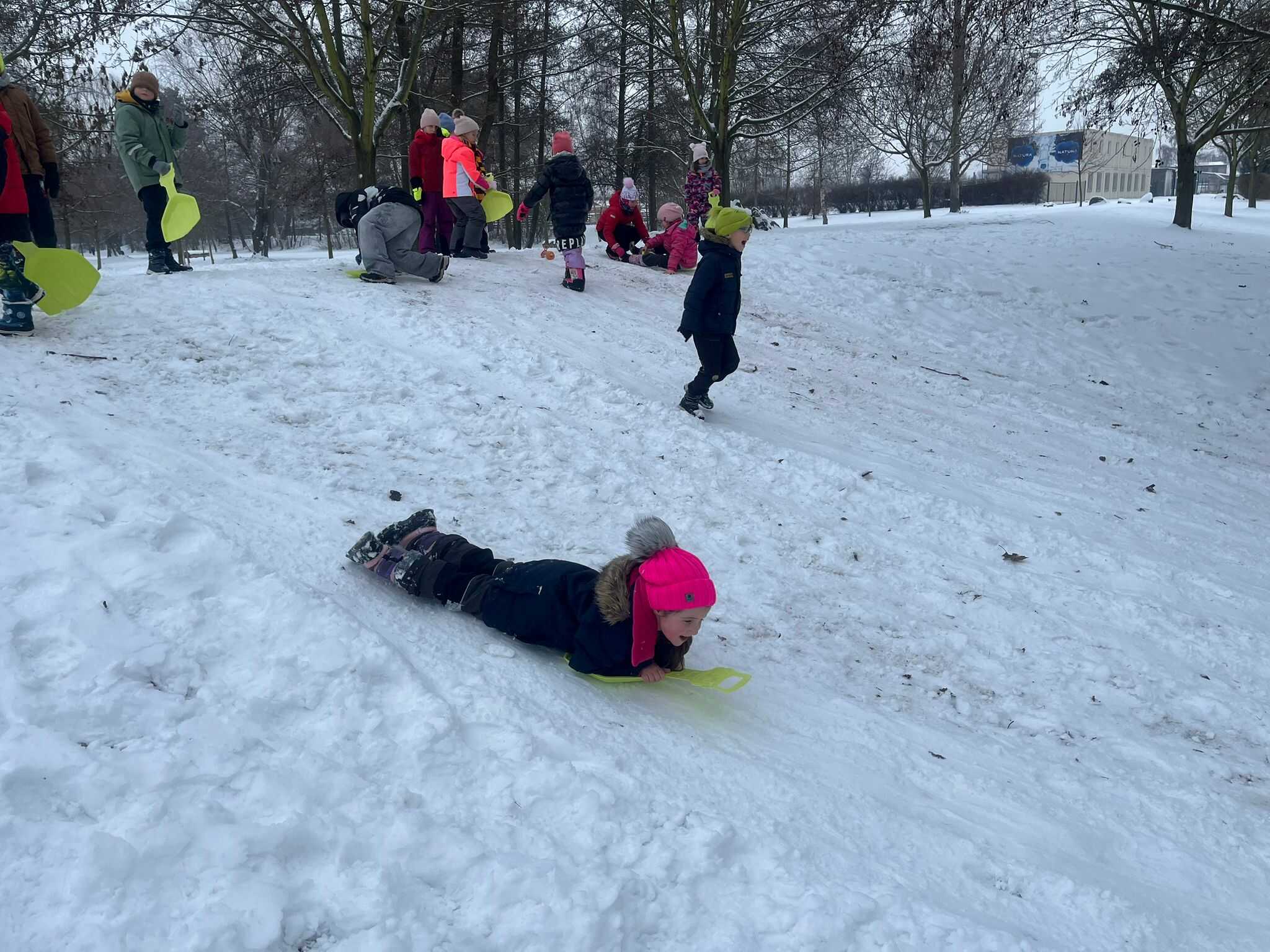 leden 2026 2.jpg (291 KB)